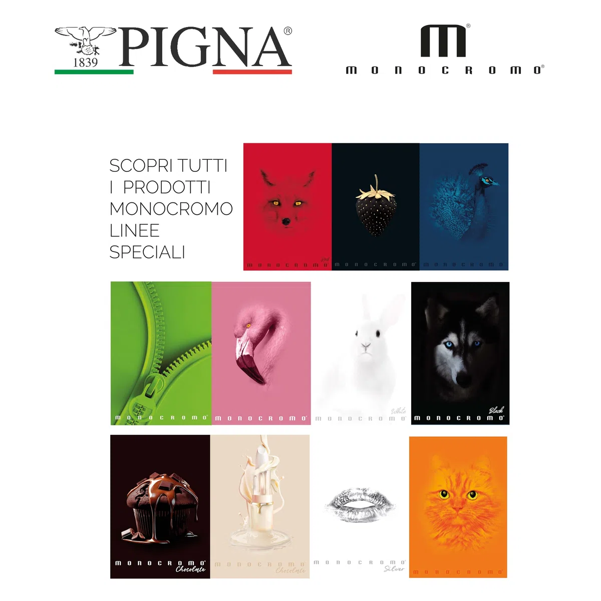 Pigna, Maxi Quaderno Monocromo Gold, A4, carta interna 100 g/m², pagine 72 + risguardo, interno 0Q, quadretti 5 mm. con margine, Soggetti Assortiti, Confezione da 10