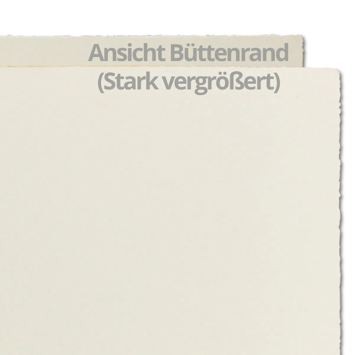 Zerkall B6 - Biglietti pieghevoli, in carta autentica, 113 x 175 mm, 225 g/m2 150 Faltkarten (hoch) Hochdoppelt Naturweiß