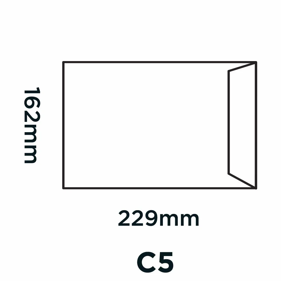 Blake Everyday 229 x 162 mm 80 g/m2 Tasca Autosigillante (13885) Manila, Confezione da 500